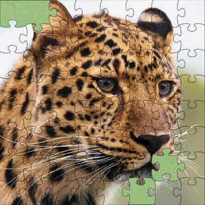 Jigsaw puzzles - Jigsaw
