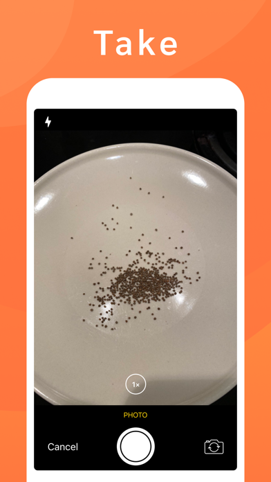 Seed Counting الملصق