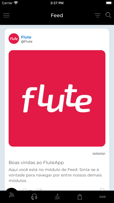 Flute poster