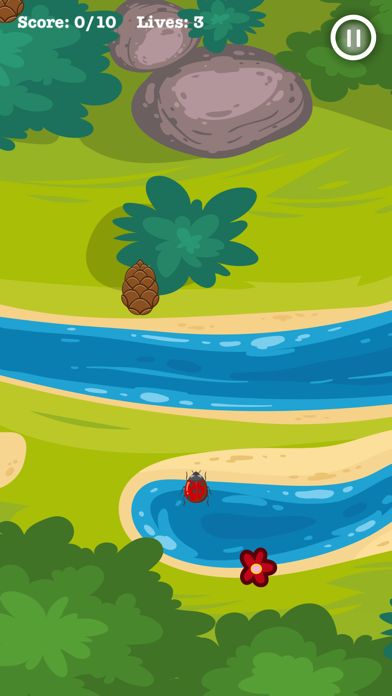 LadybugFun poster