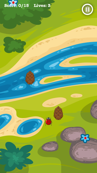 LadybugFun poster