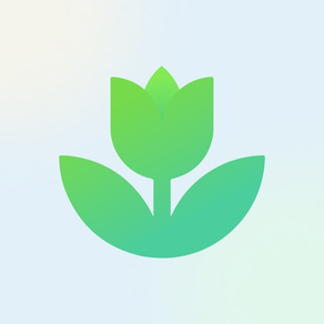 Plant App Identificador Planta