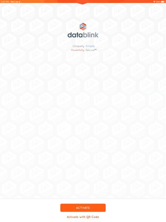 Datablink Mobile 200 poster