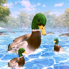 virtuel canard vie simulateur