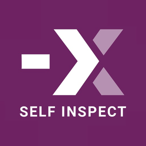 Next Inspect Self Inspect