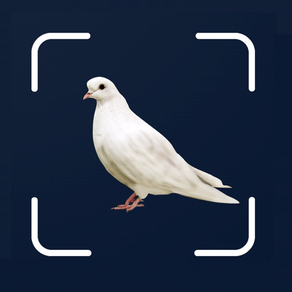 Bird Scanner - 10,000+ Birds