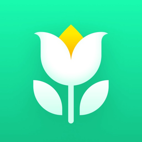 Plant Parent - Der Pflegeguide