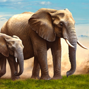 Wild Animal Elephant Simulator