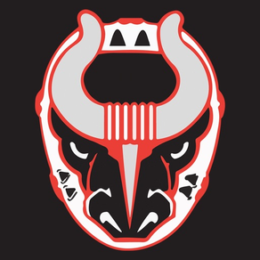 Birmingham Bulls