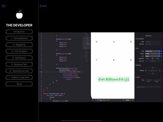 The Developer Affiche
