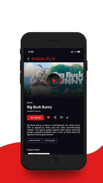 VisualFlix poster