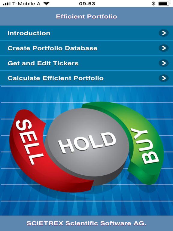 Efficient Portfolio poster