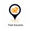 Flash Ejecutivo