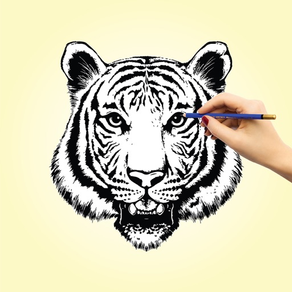 Draw Animals: Easy Art Guide