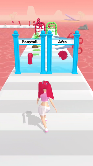 Wig Run poster