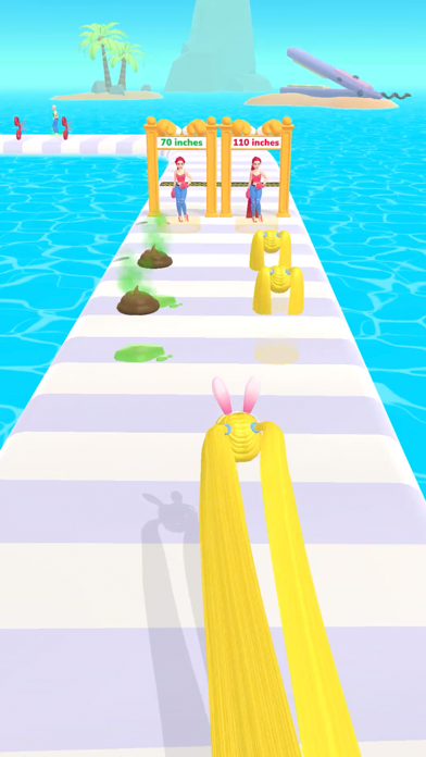 Wig Run poster