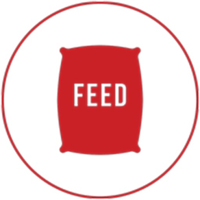 Louiso Feed & Seed
