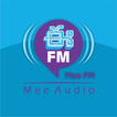 EFM Audio