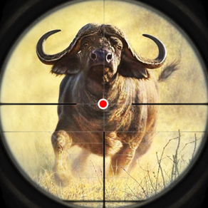 動物狩獵 4x4 槍遊戲