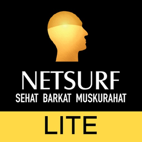 Netsurf Lite