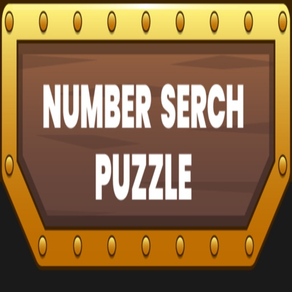 Puzzle Number Search