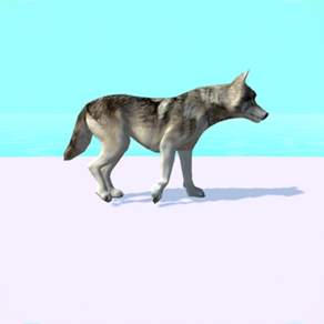 Doggy Run 3D