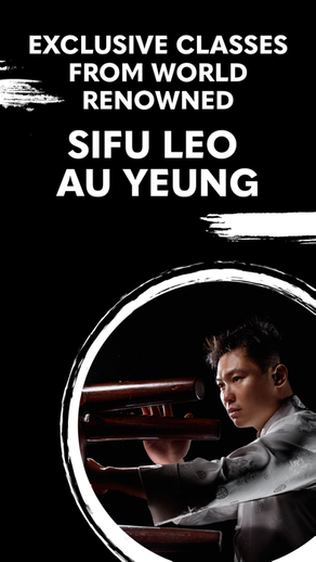 Wuji: Leo Wing Chun Training