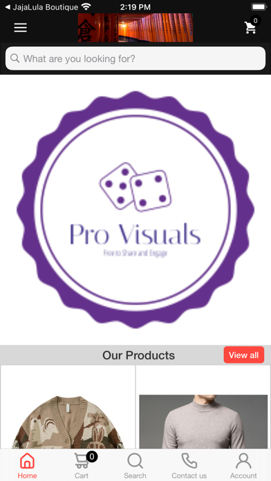 Pro Visuals poster