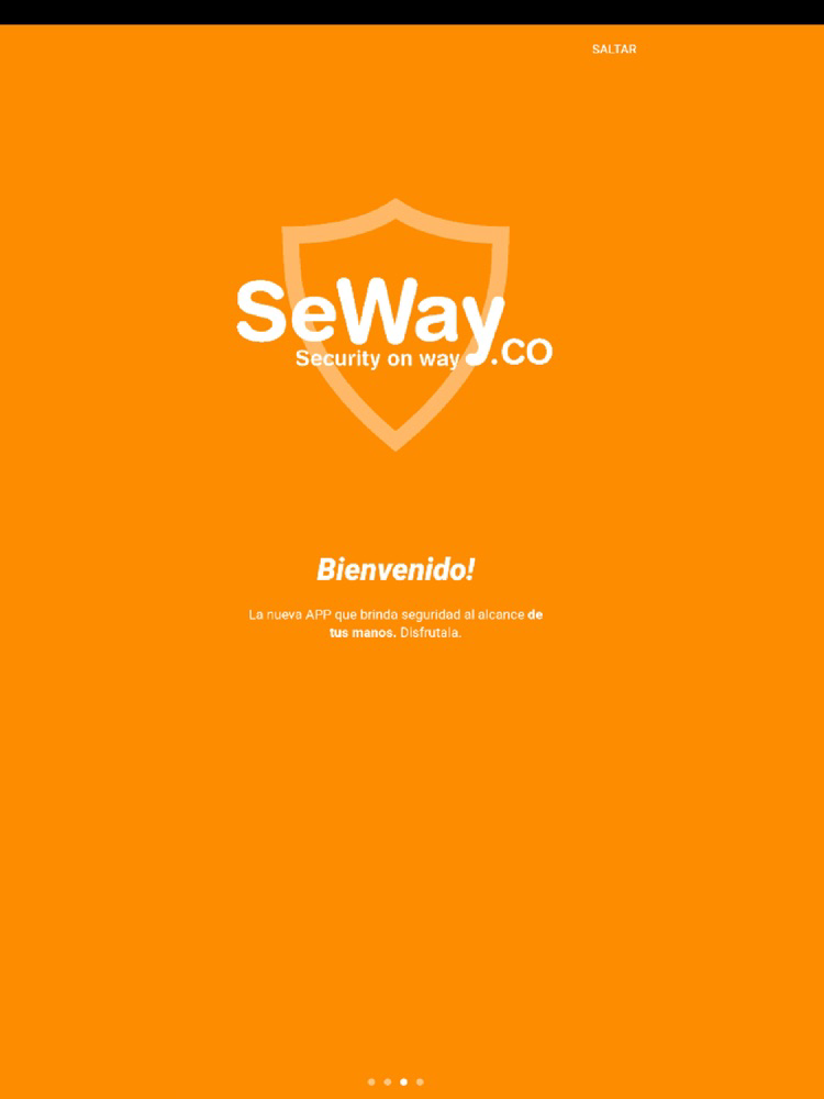 Seway Plus poster