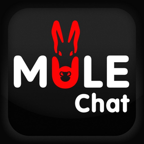 MULE Chat