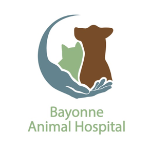 Bayonne Animal Hospital