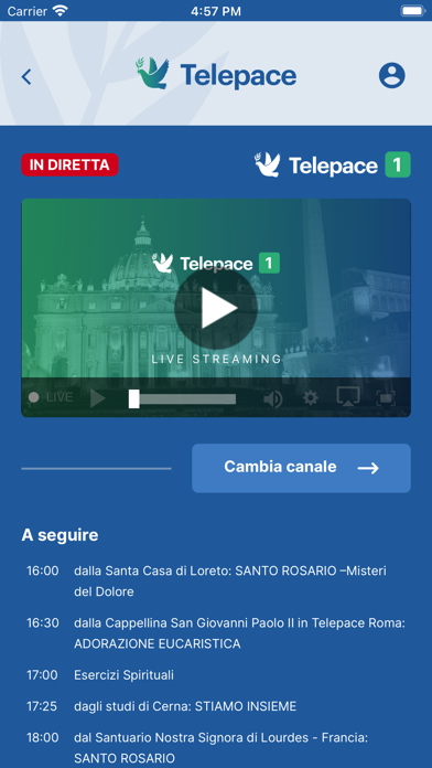 Telepace poster