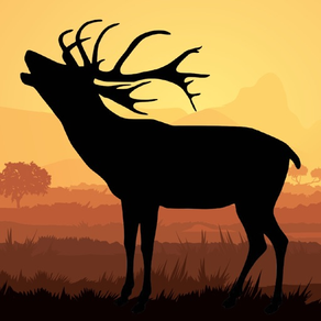 Elk Calls - Bull Hunting