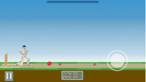 CricketMayhem: 2D Cricket Game