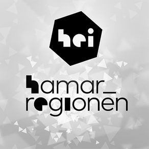 Hamarregion