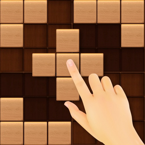 Block Puzzle Wood Sudoku Style