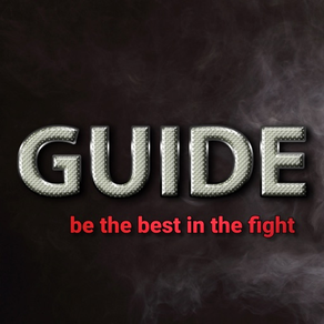 Guide for Mortal Kombat