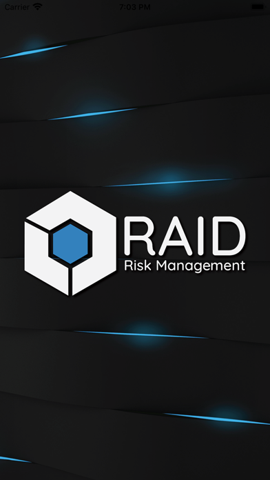 Raid VMS poster