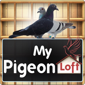 My Pigeon Loft HD