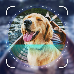 Dog Scanner - Puppy ID