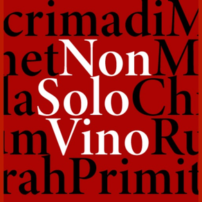 NonSoloVino