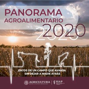 Panorama Agroalimentario 2020