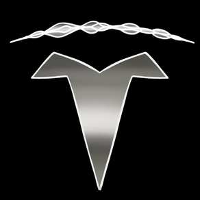 Teri - Tesla용 시계 앱