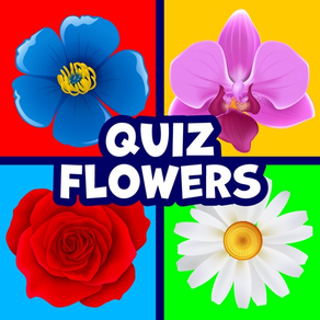 Quiz Flowers: guess one answer