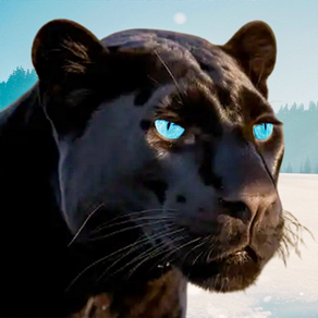 Wild Black Panther Furious Sim