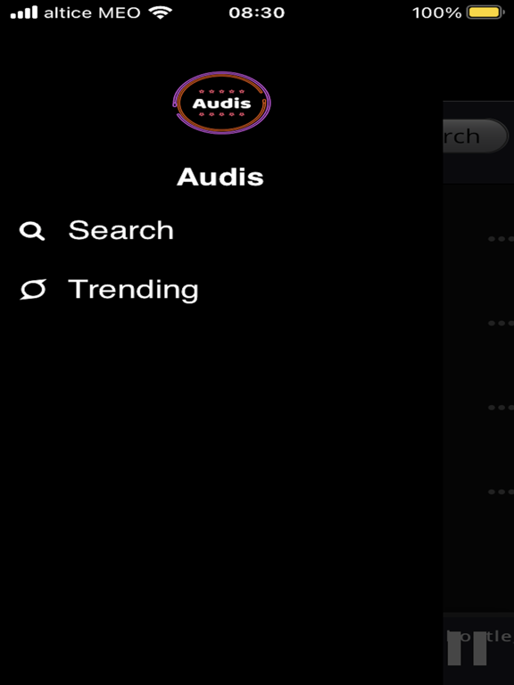 Audis Plakat