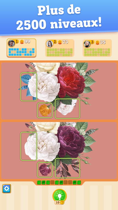 Différences - Picture Puzzles Affiche
