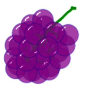 GRAPES-light