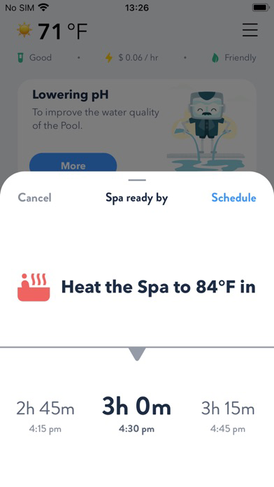 Poolside Attendant poster