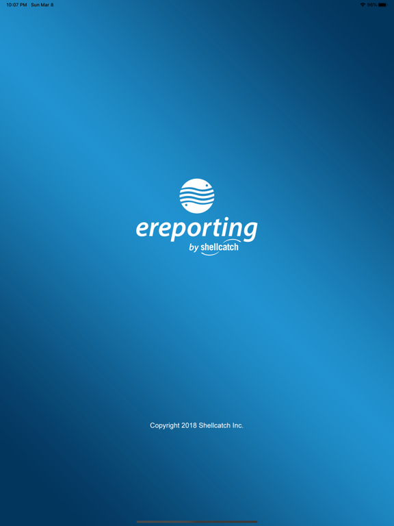 eReporting Plakat